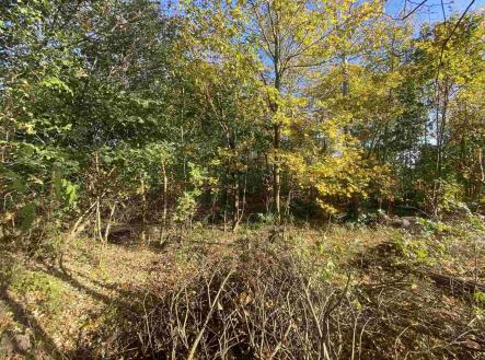 Prodej pozemku pro bydlení, 1 043 m²