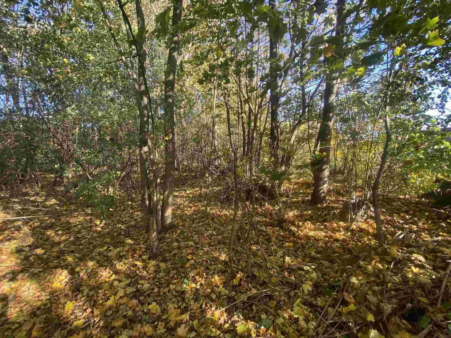 Dražba pozemku Zdislava