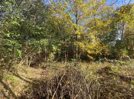 Prodej pozemku pro bydlení, 1 043 m²