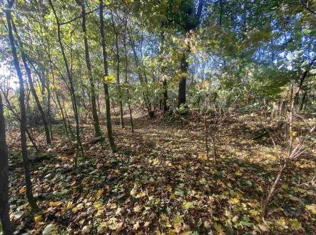 Prodej pozemku pro bydlení, 1 043 m²