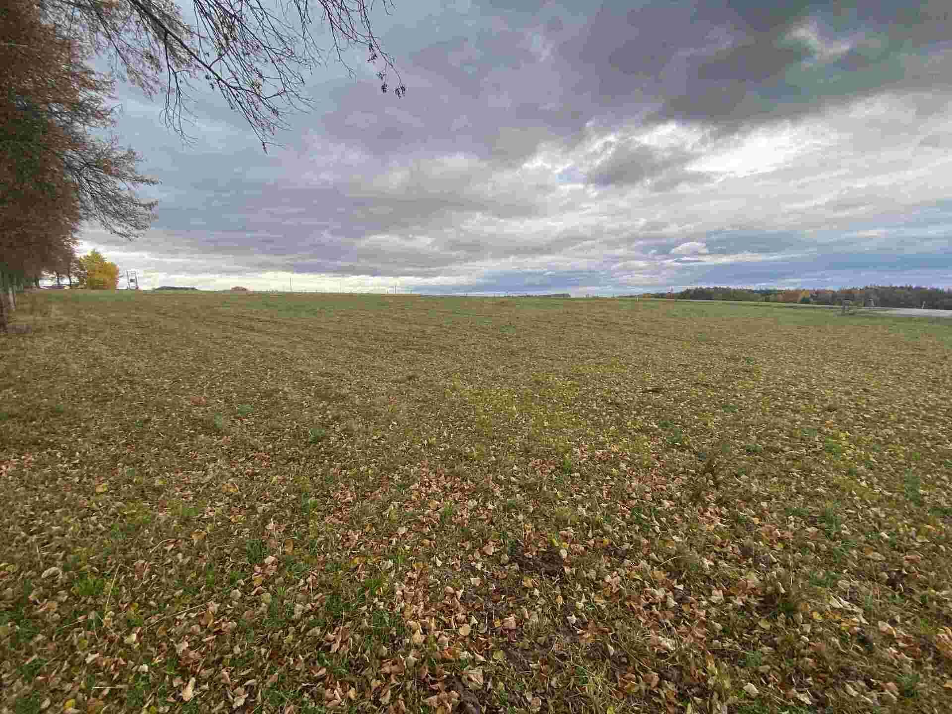 Prodej pozemků Strážkovice