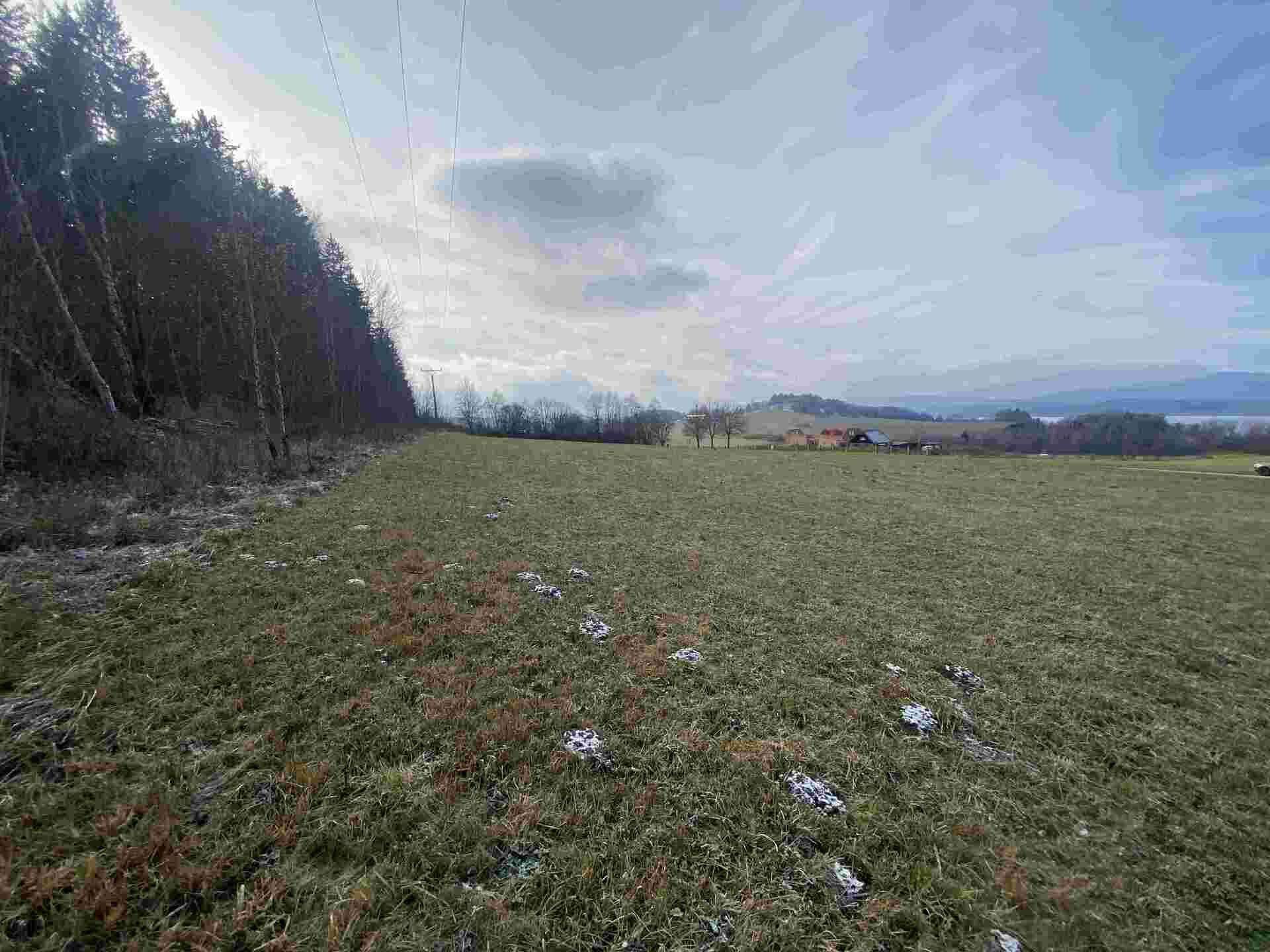 Prodej pozemků Černá v Pošumaví