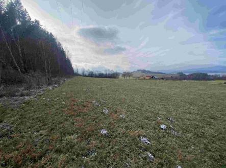 Prodej pozemku, zemědělská půda, 2 218 m²