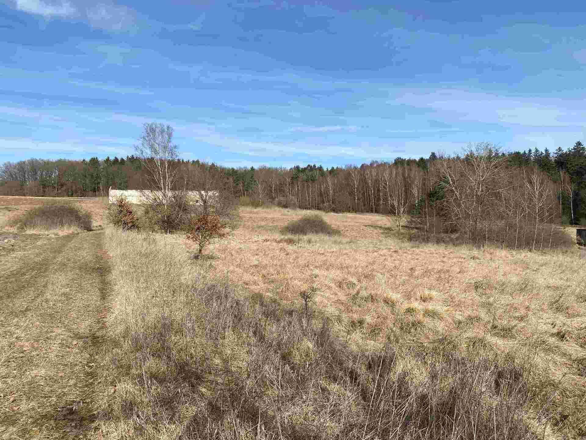 prodej pozemků k.ú. Jedličná