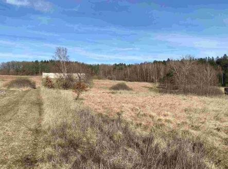 Prodej pozemku, ostatní, 2 500 m²