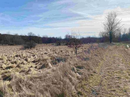 Prodej pozemku, ostatní, 2 500 m²