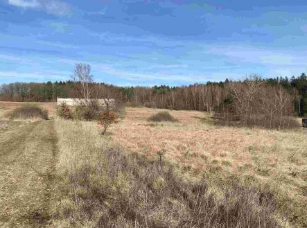 Prodej pozemku, ostatní, 2 500 m²