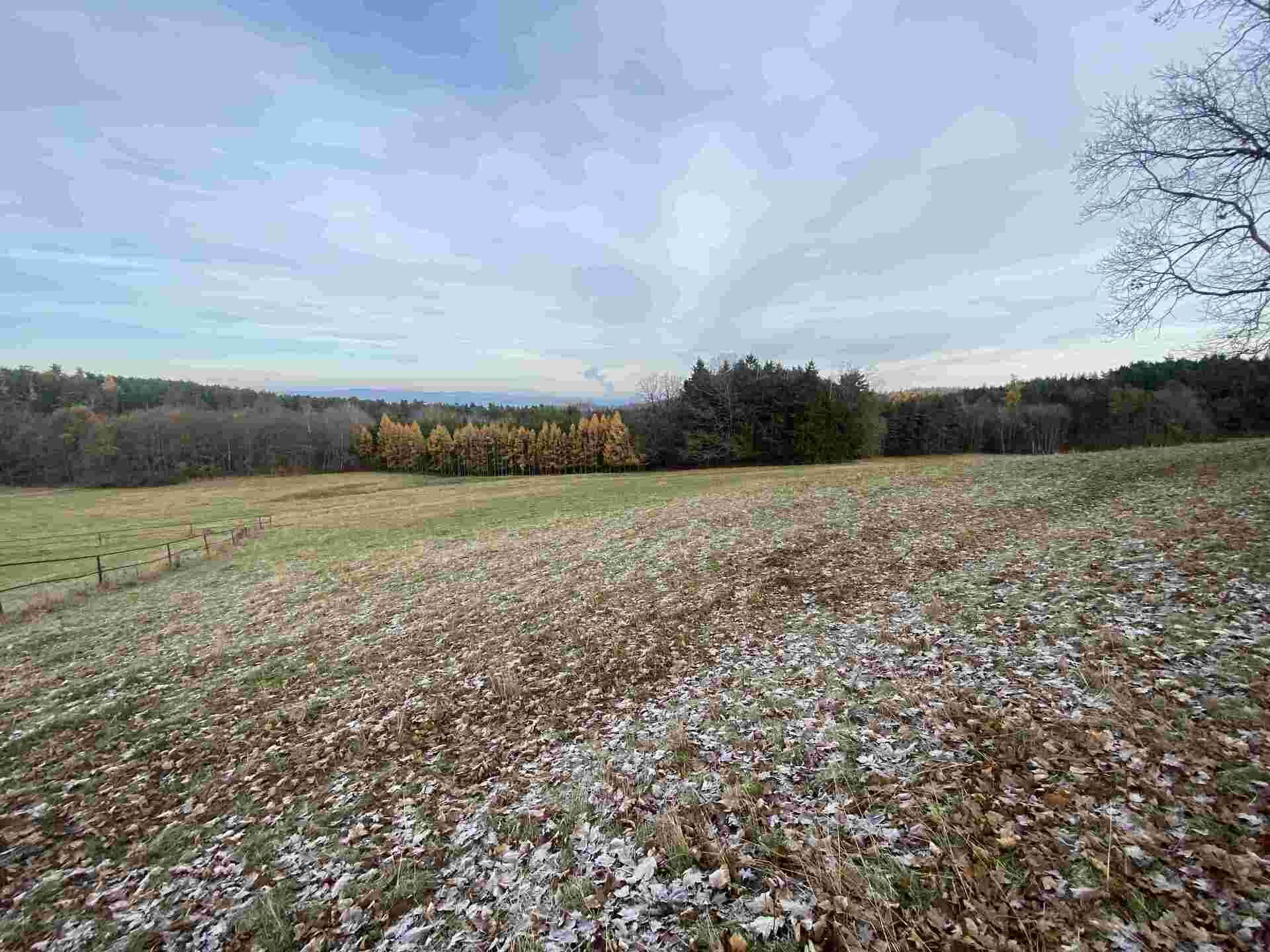 Prodej pozemku Křepice u Vodňan