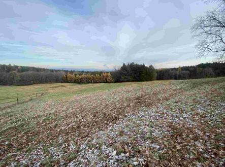 Prodej pozemku, zemědělská půda, 2 312 m²