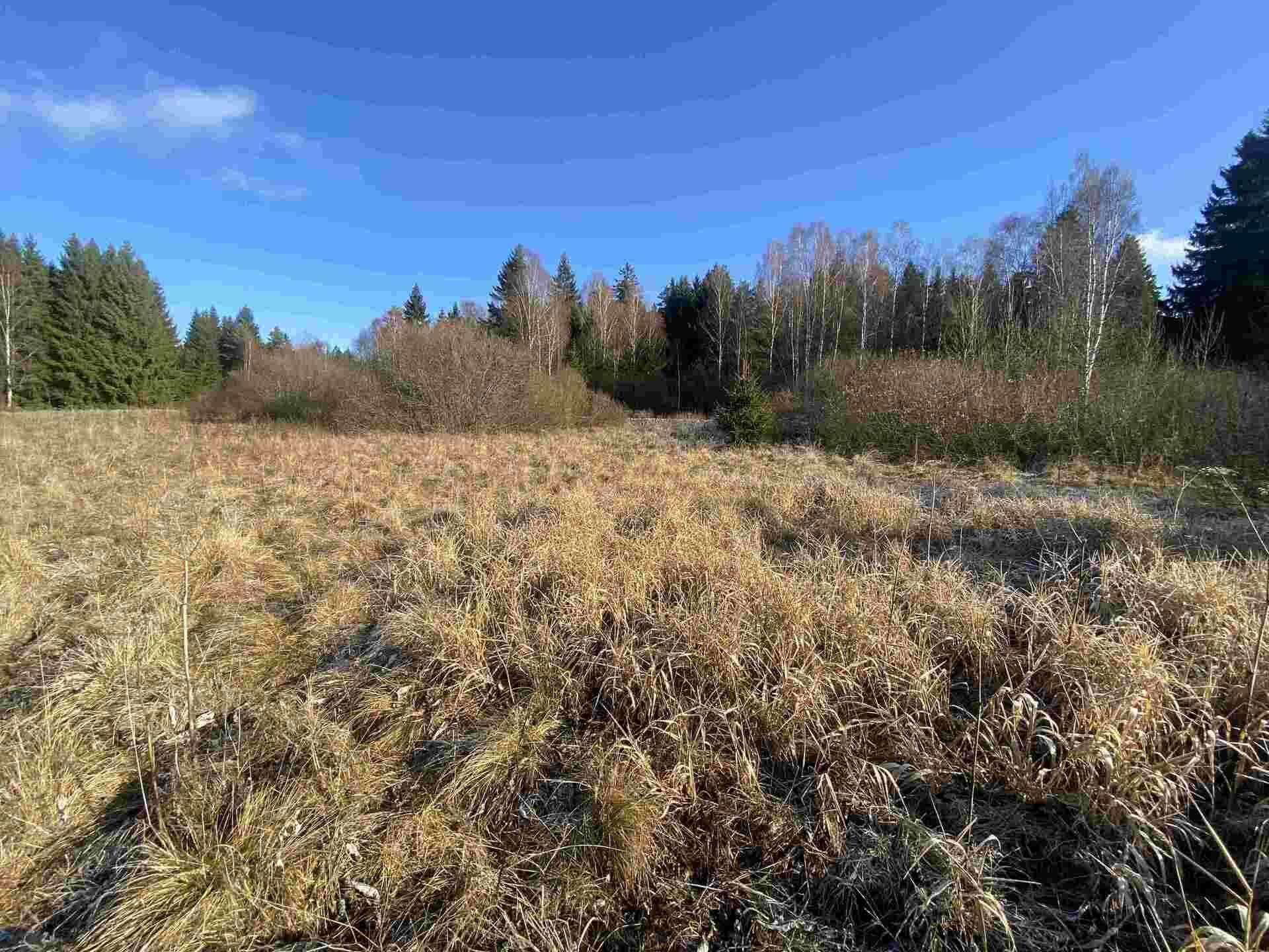 Prodej pozemků Černá v Pošumaví