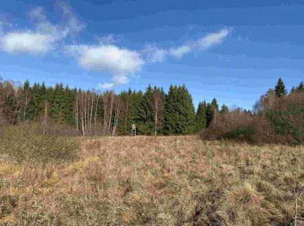 Prodej pozemku, zemědělská půda, 16 994 m²