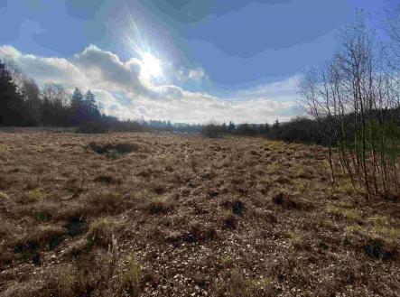 Prodej pozemku, zemědělská půda, 16 994 m²