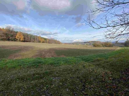 Prodej pozemku, zemědělská půda, 1 577 m²