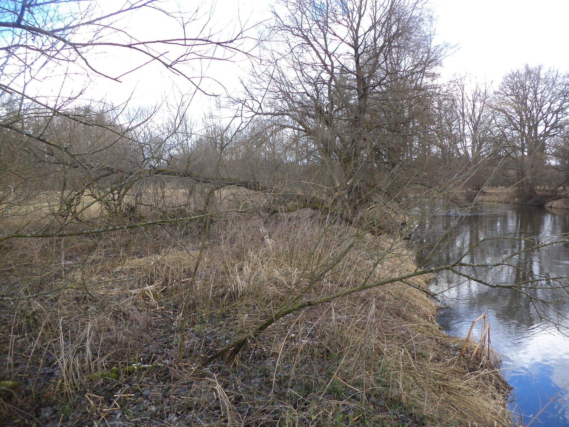 DRAŽBA pozemku Novosedly nad Nežárkou