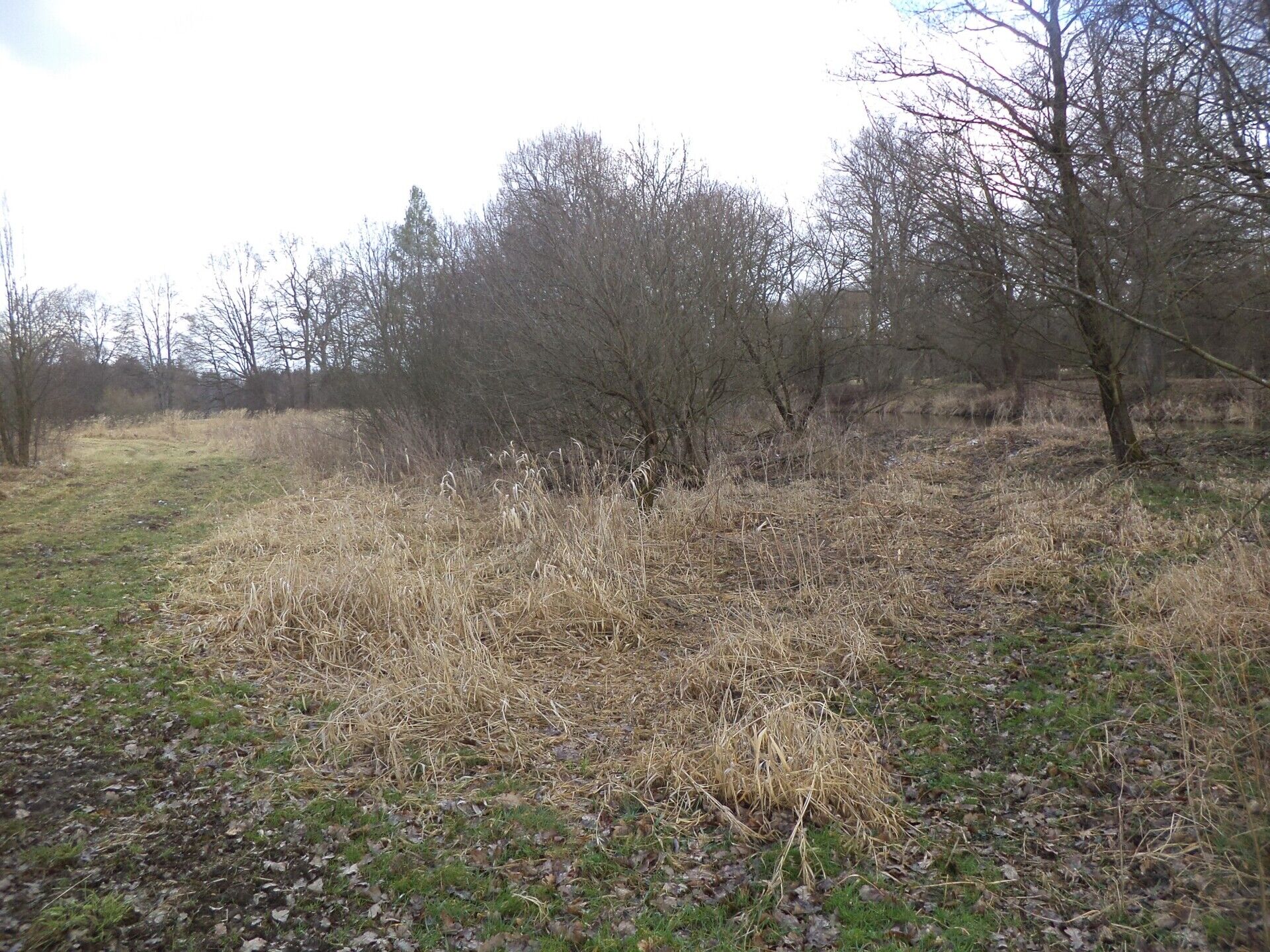 DRAŽBA pozemku Novosedly nad Nežárkou