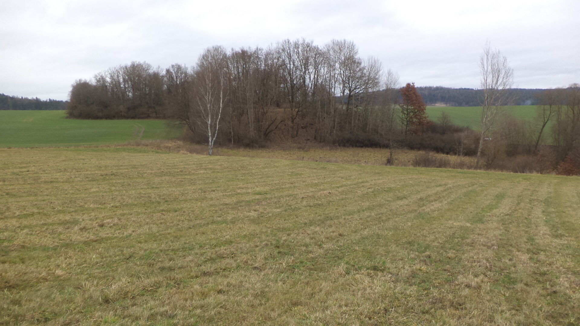 dražba pozemků k.ú. Srby nad Úslavou