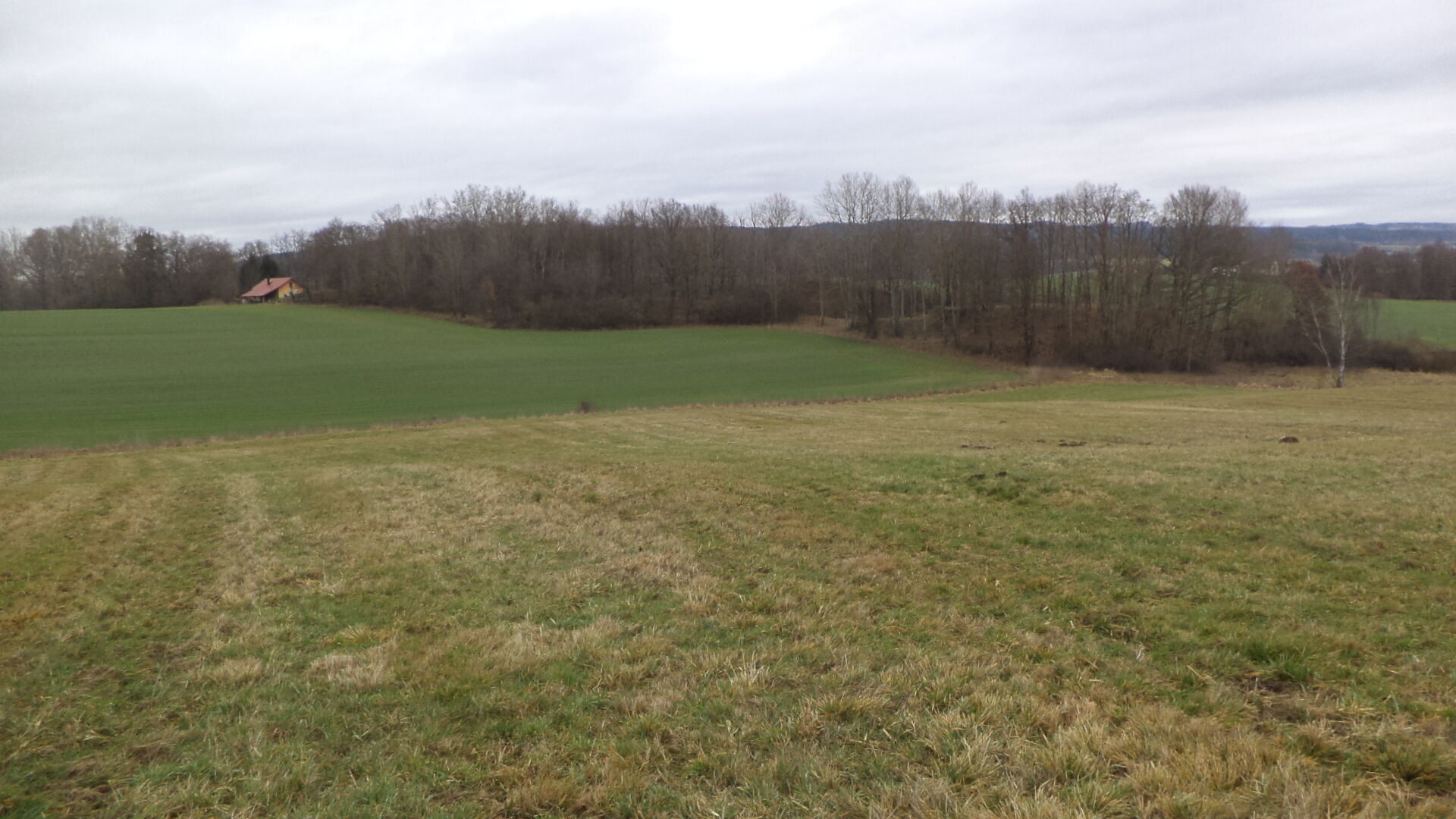 dražba pozemků k.ú. Srby nad Úslavou