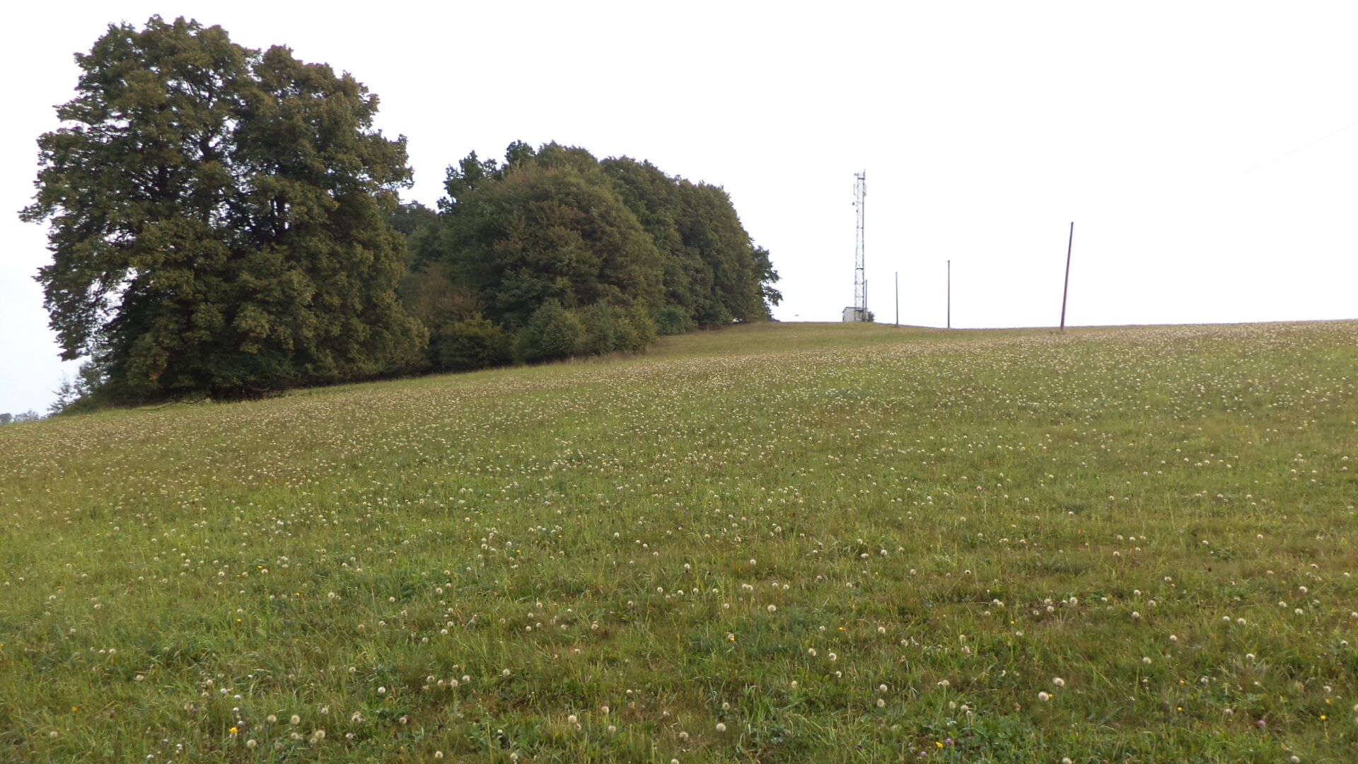 Dražba pozemků k.ú. Rajnochovice