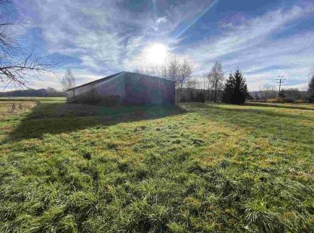 Prodej pozemku pro bydlení, 3 703 m²