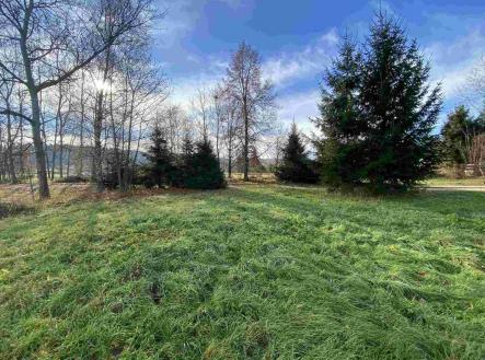 Prodej pozemku pro bydlení, 3 703 m²