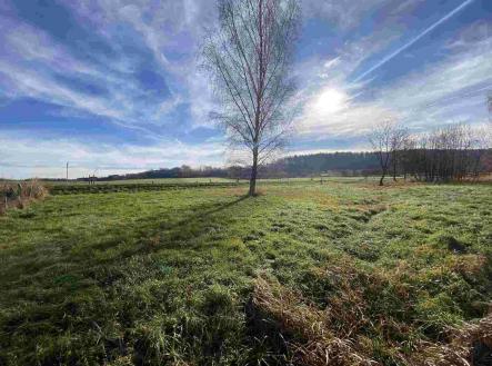 Prodej pozemku pro bydlení, 3 703 m²