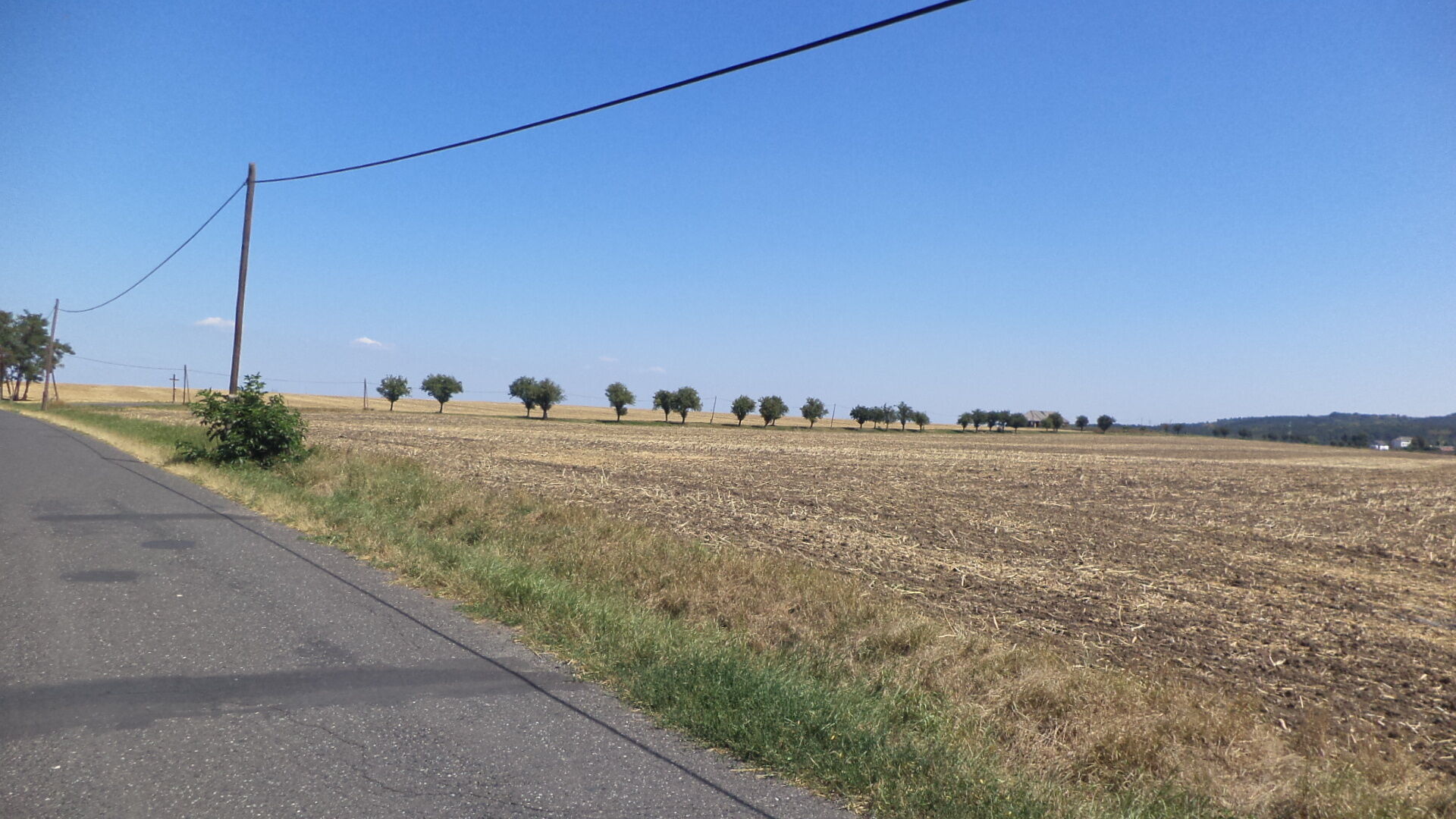 prodej pozemku k.ú. Kněžice u Podbořan