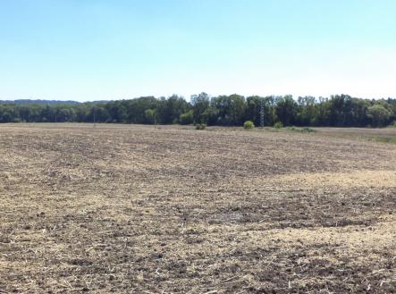 Prodej pozemku, ostatní, 1 801 m²