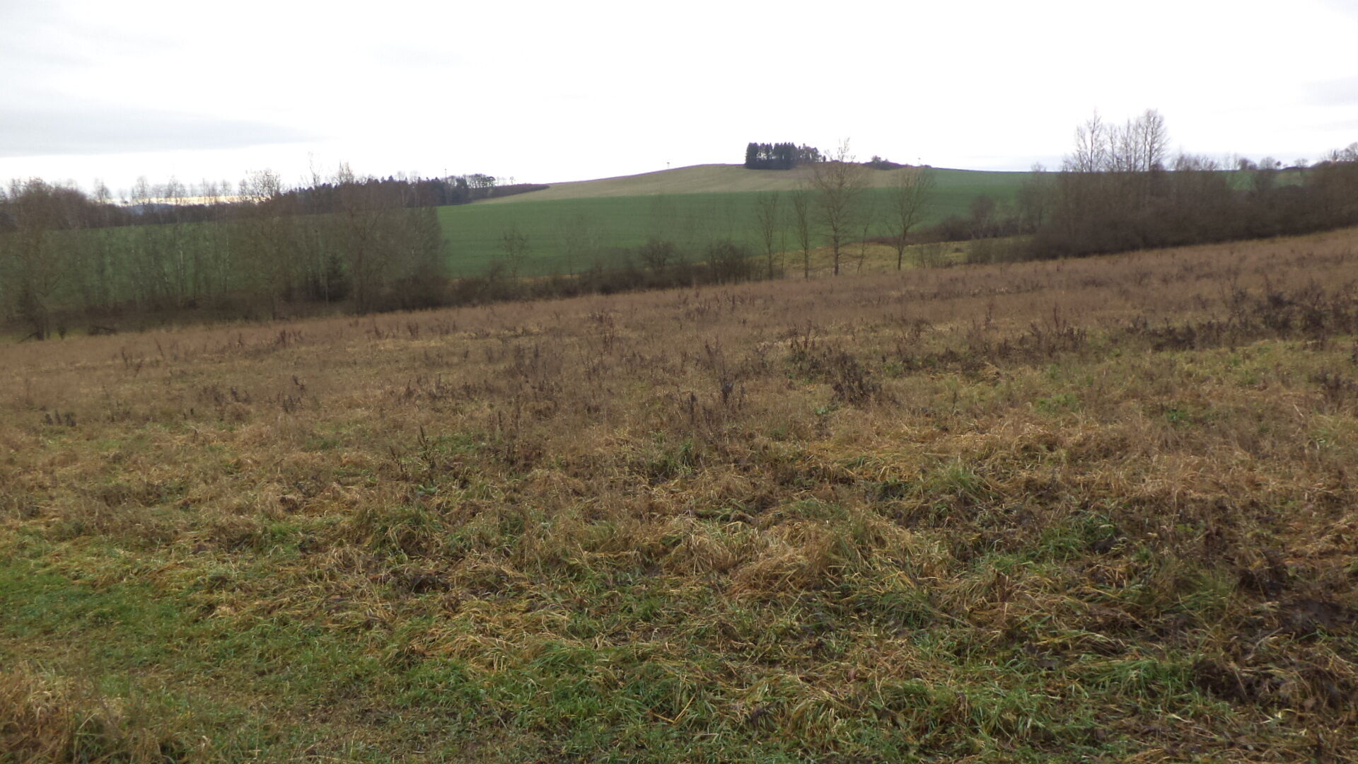 prodej pozemků k.ú. Srby nad Úslavou