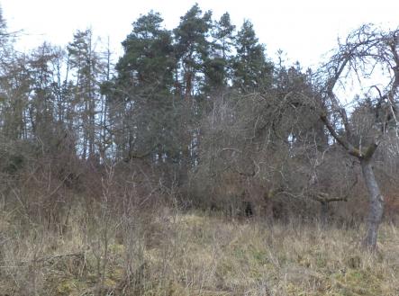 Prodej pozemku, ostatní, 1 445 m²