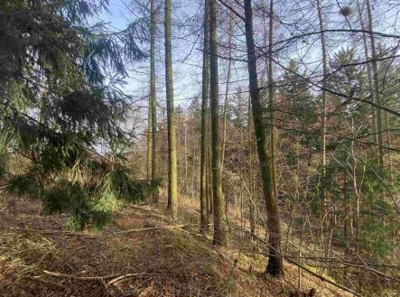 Prodej pozemku, ostatní, 3 569 m²