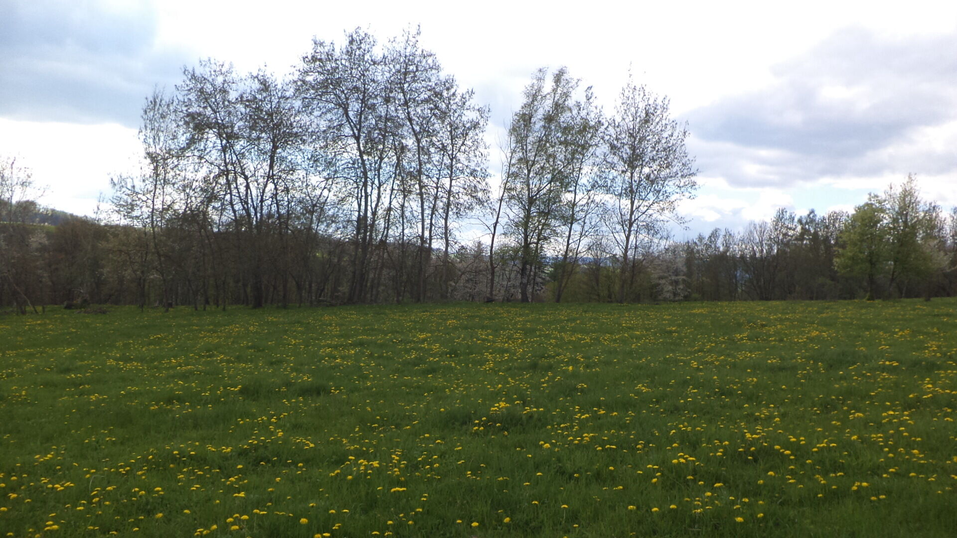 Prodej pozemku v k.ú. Malá Véska, obec Staré Město