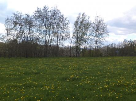 Prodej pozemku, ostatní, 10 063 m²