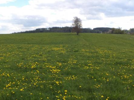 Prodej pozemku, ostatní, 10 063 m²