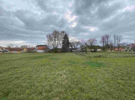 Prodej pozemku, ostatní, 1 427 m²