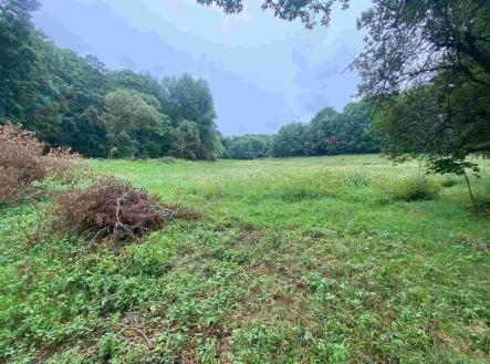 Prodej pozemku, ostatní, 3 000 m²