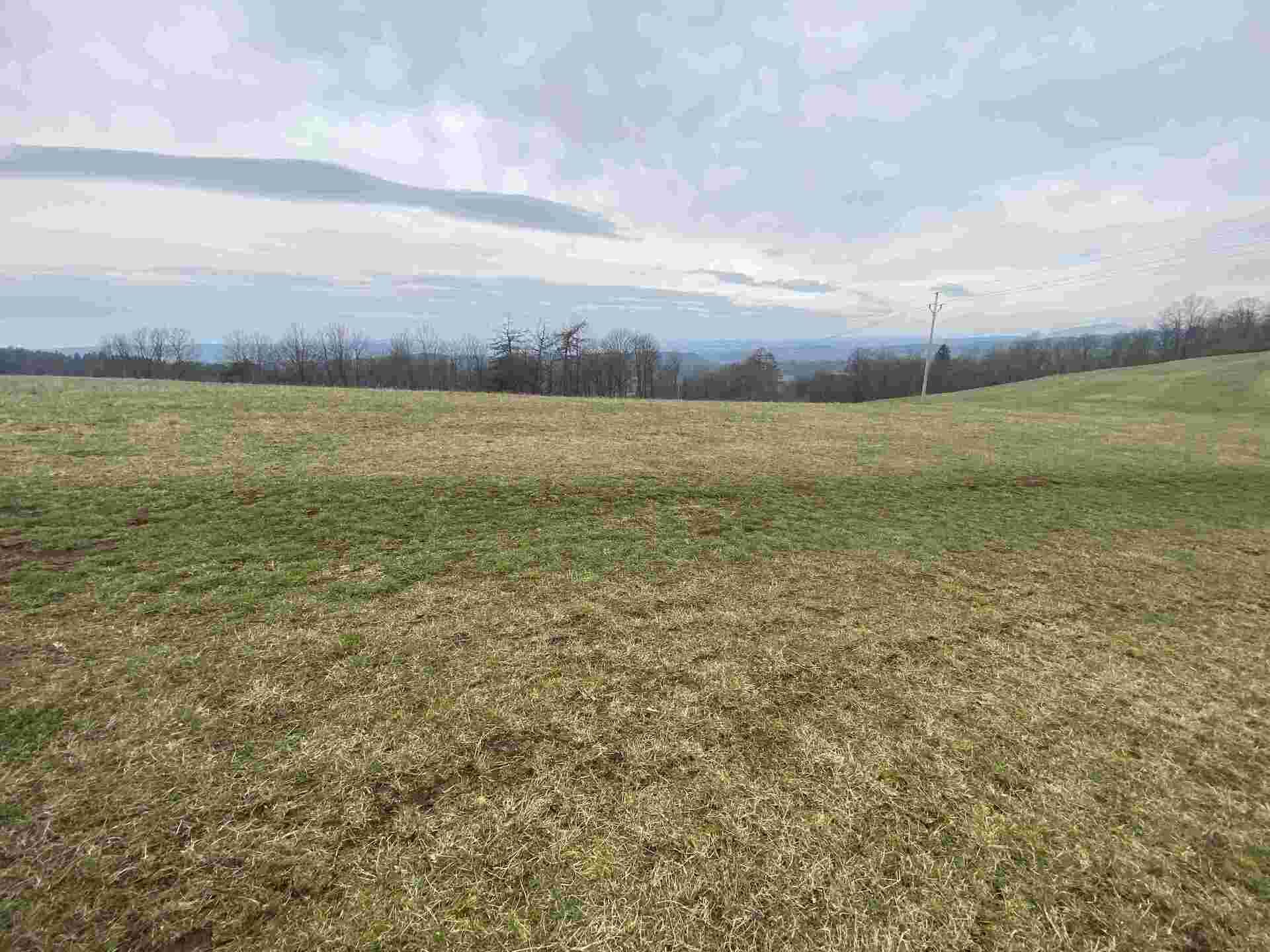 prodej pozemků k.ú. Vesec pod Kozákovem