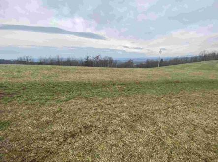 Prodej pozemku, ostatní, 2 000 m²