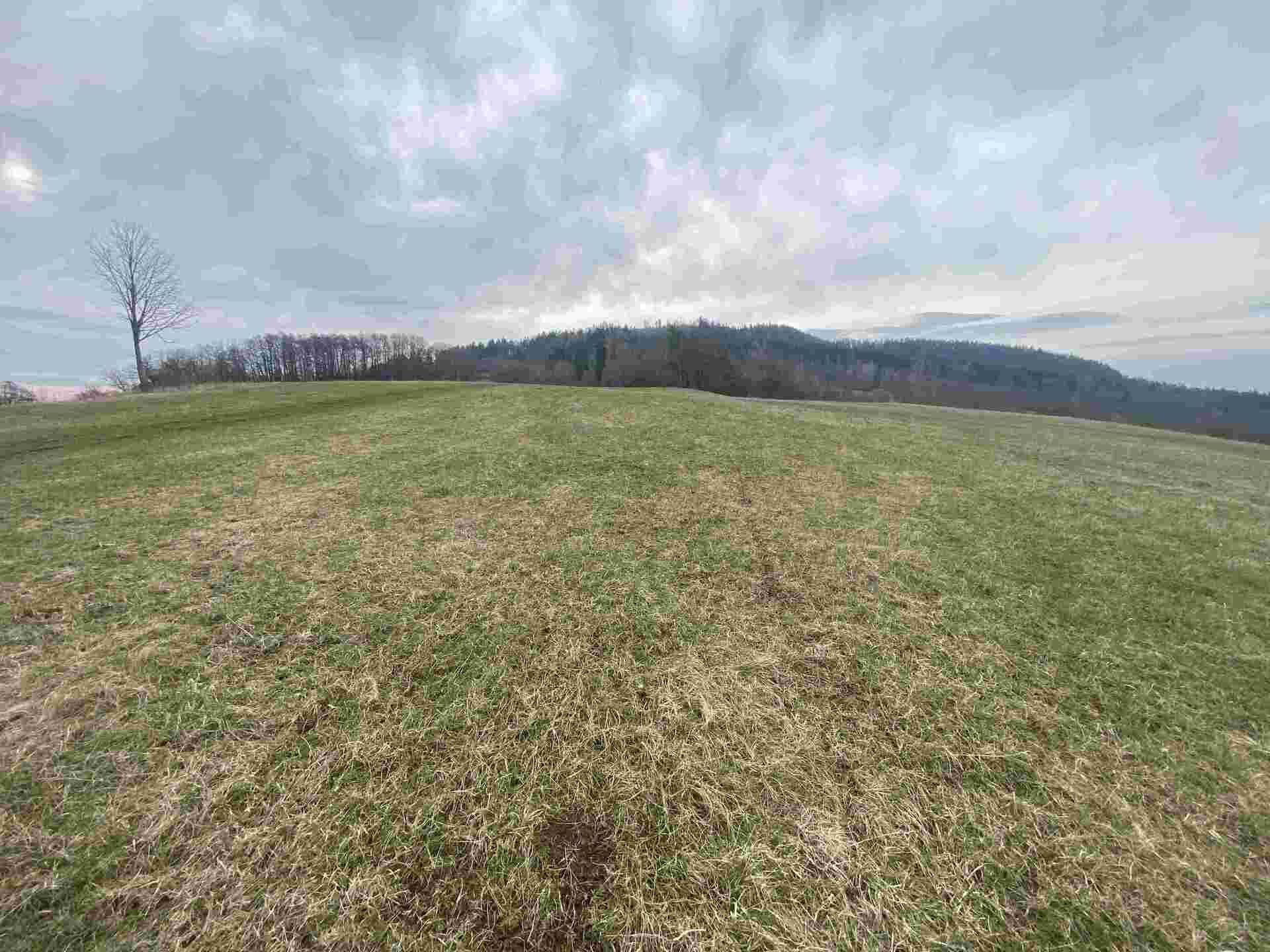 prodej pozemků k.ú. Vesec pod Kozákovem