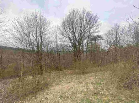 Prodej pozemku, ostatní, 2 000 m²