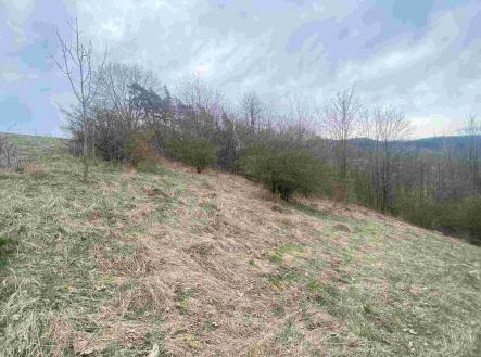 Prodej pozemku, ostatní, 1 000 m²