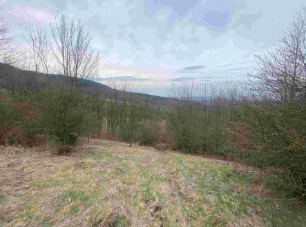 Prodej pozemku, ostatní, 1 000 m²