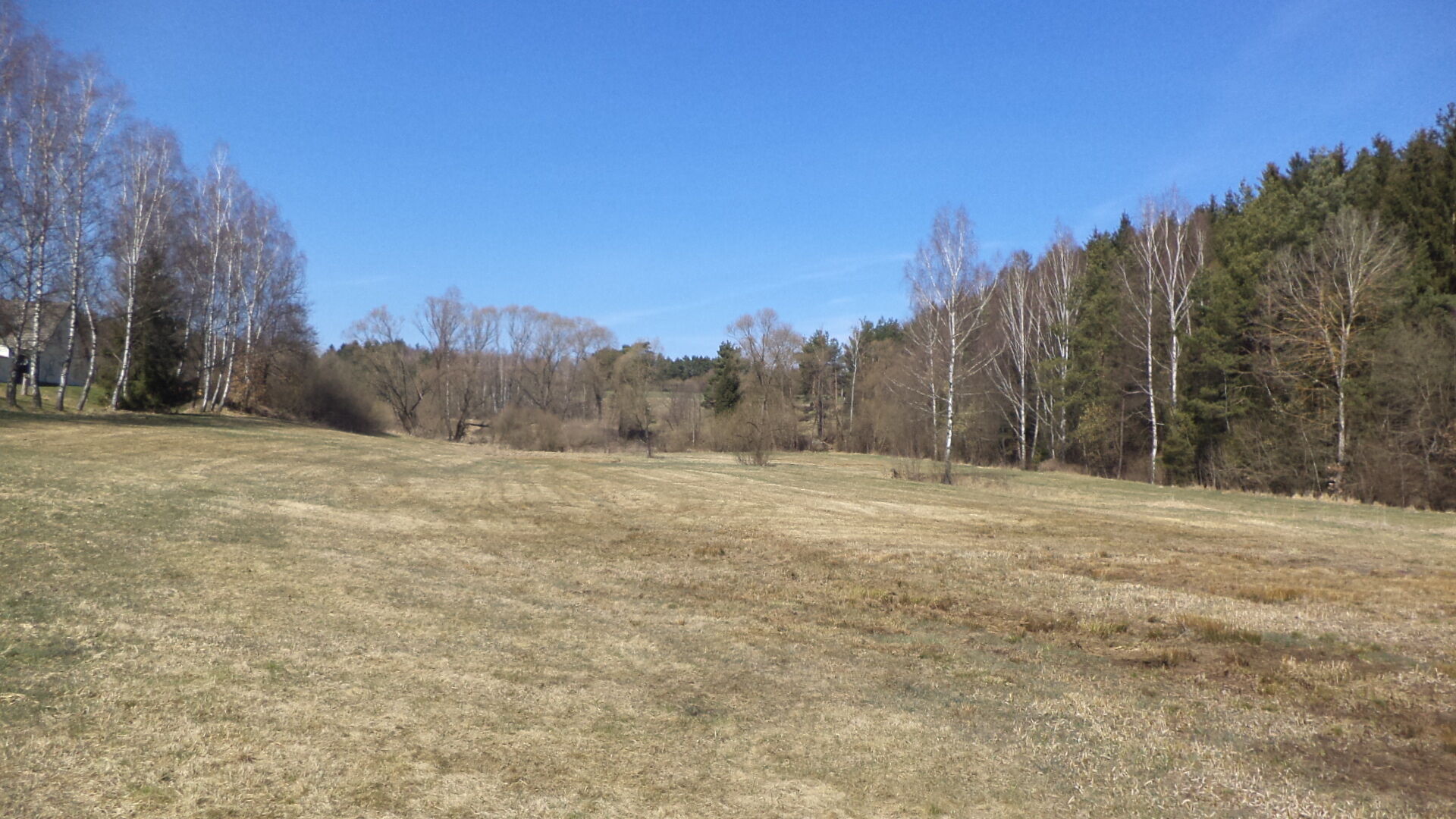 Prodej pozemků Žďár u Kaplice