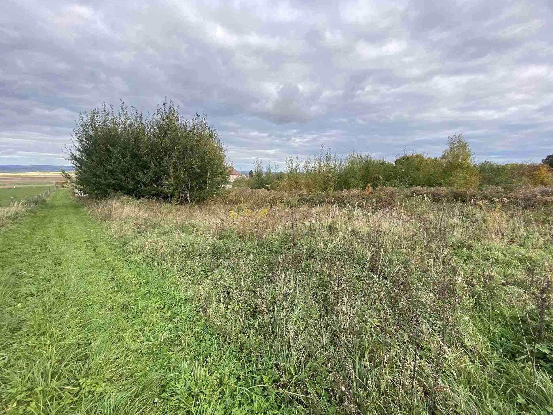 Prodej pozemků Horní Hoštice