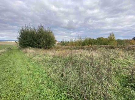 Prodej pozemku pro bydlení, 1 773 m²