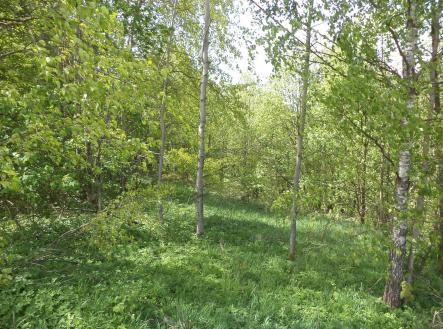 Prodej pozemku, ostatní, 1 958 m²