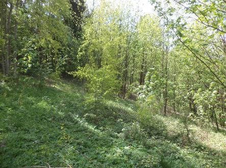 Prodej pozemku, ostatní, 1 958 m²