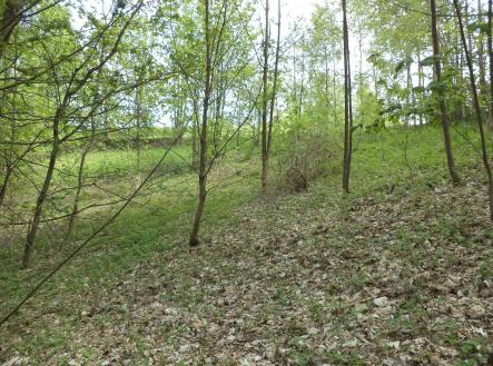 Prodej pozemku, ostatní, 1 958 m²