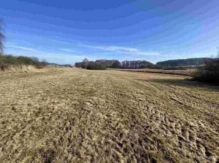 Prodej pozemku, zemědělská půda, 10 470 m²