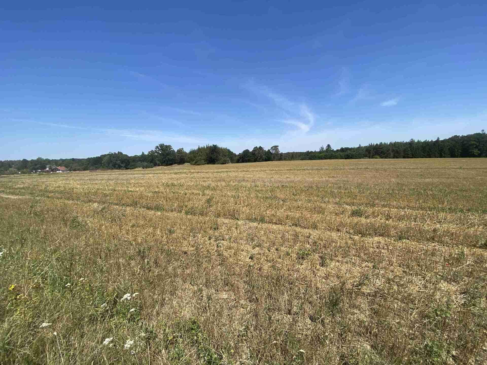 Prodej zemědělského pozemku Dědovice