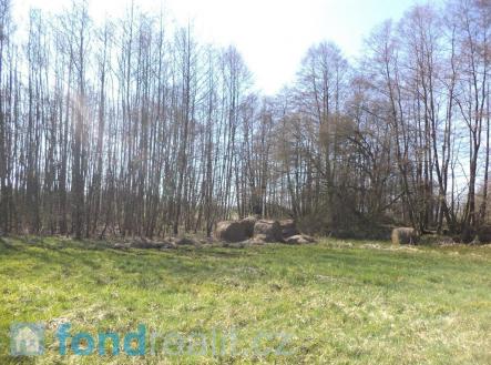 Prodej pozemku, ostatní, 4 291 m²